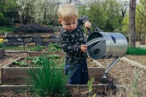 a little boy watering a plant